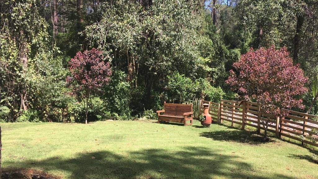 10 of 42: Jardín posterior visto desde terraza