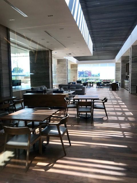 19 de 41: Terrazas Lounge