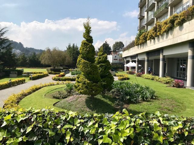 3 de 41: Jardines