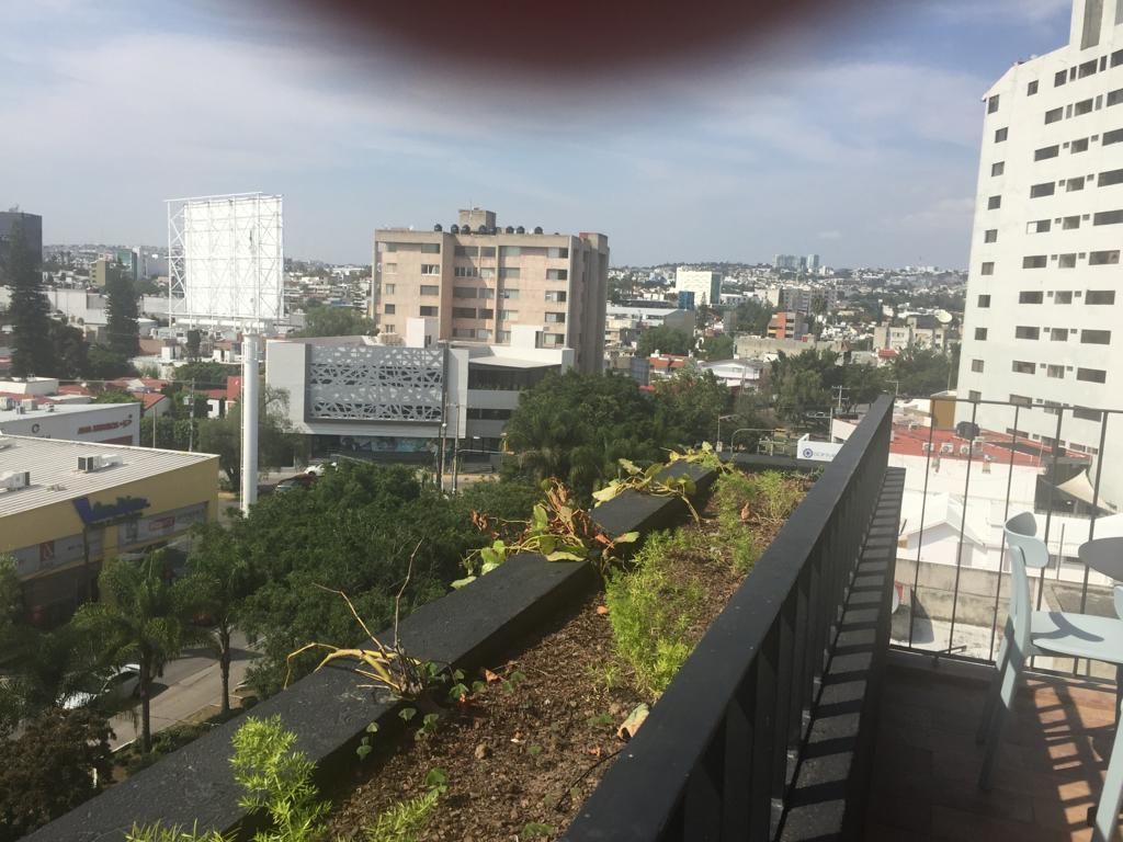 5 de 15: vista desde la terraza al Blvd 