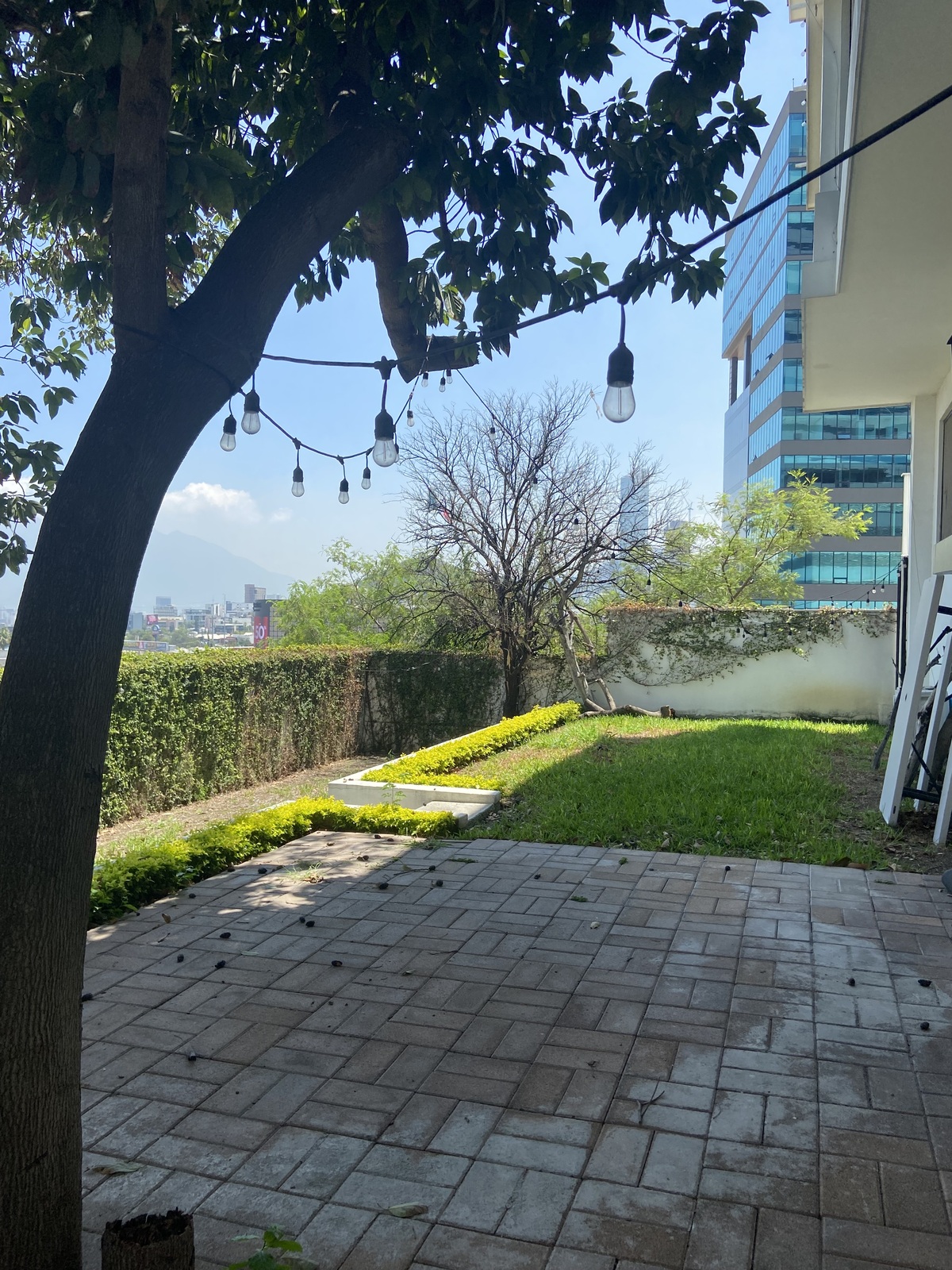 5 de 17