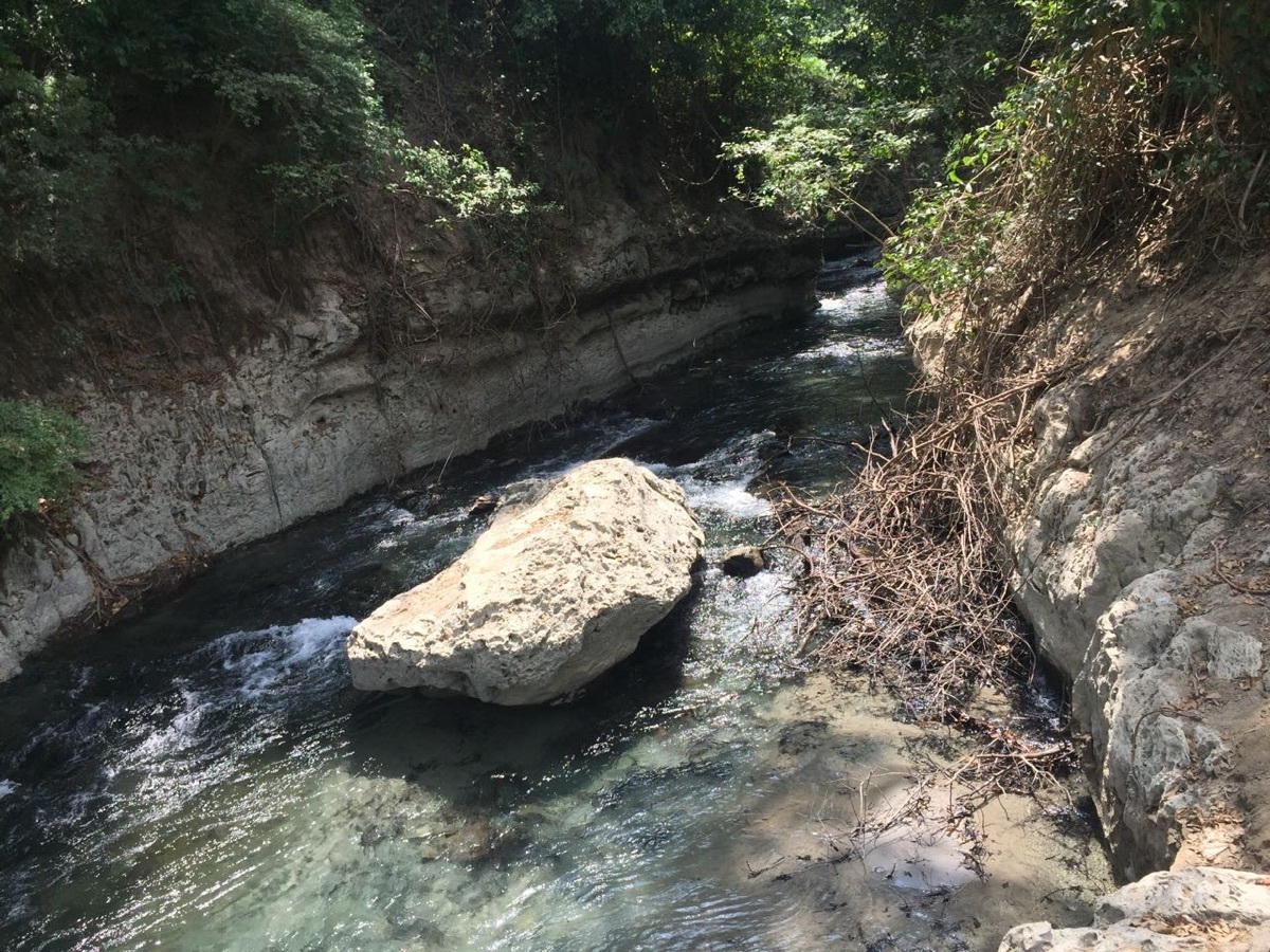 8 de 19: Arroyo Yaxtunija