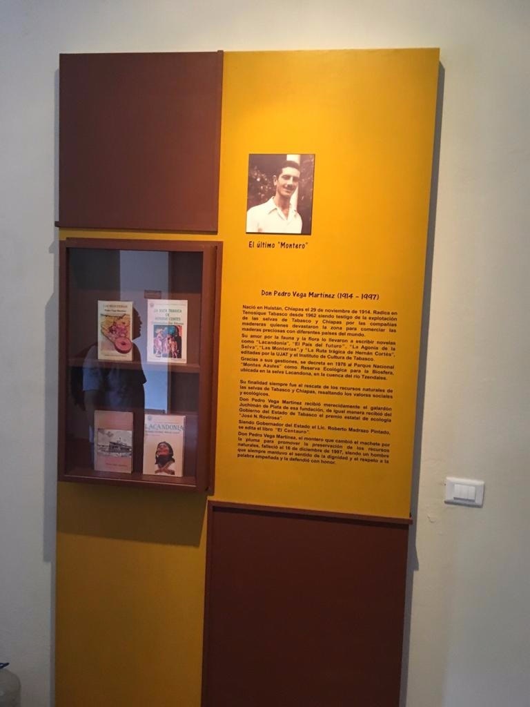 6 de 19: Interior Casa Museo