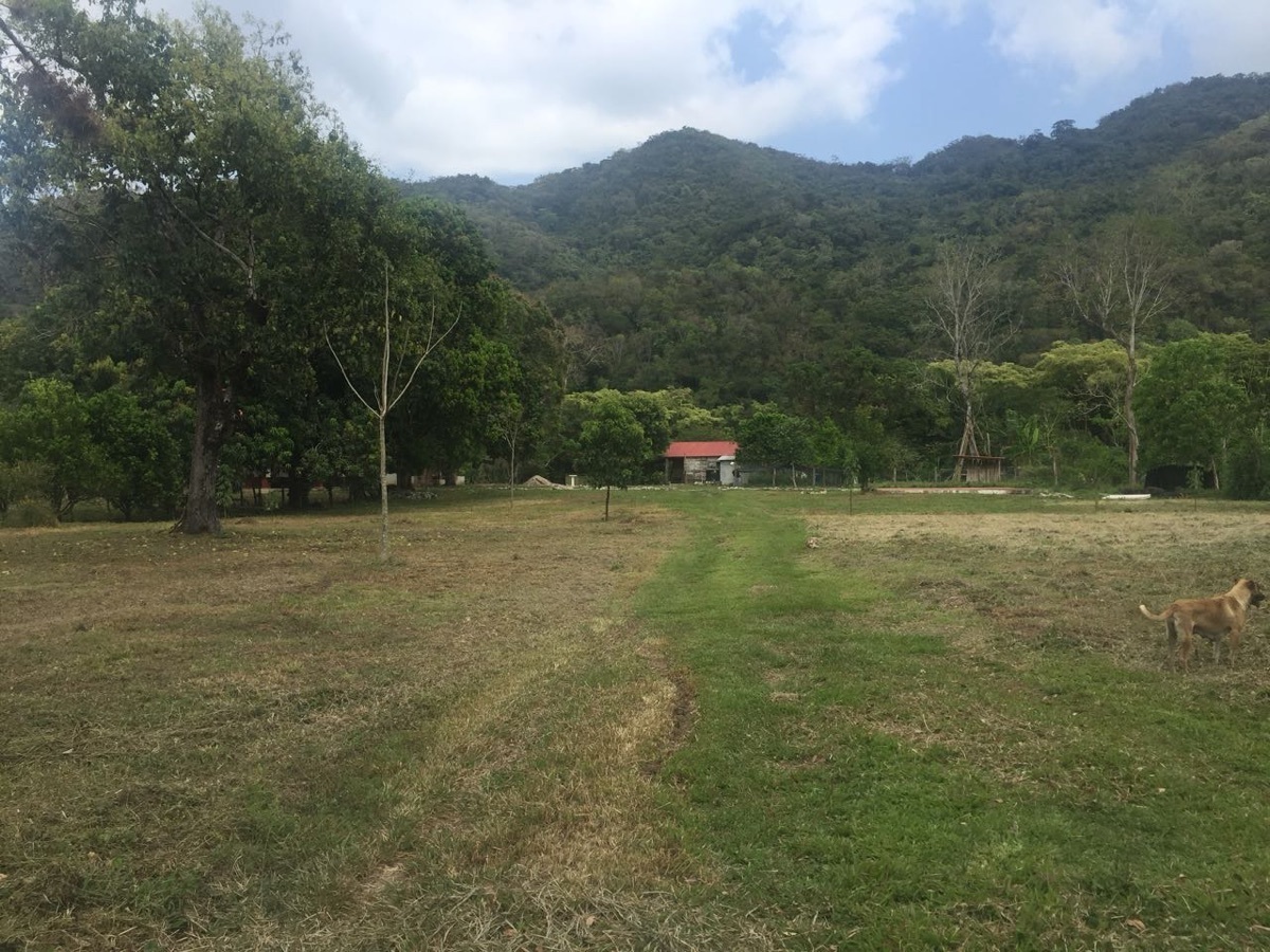 13 de 19: Cerros de la Sierra Madre del Sur