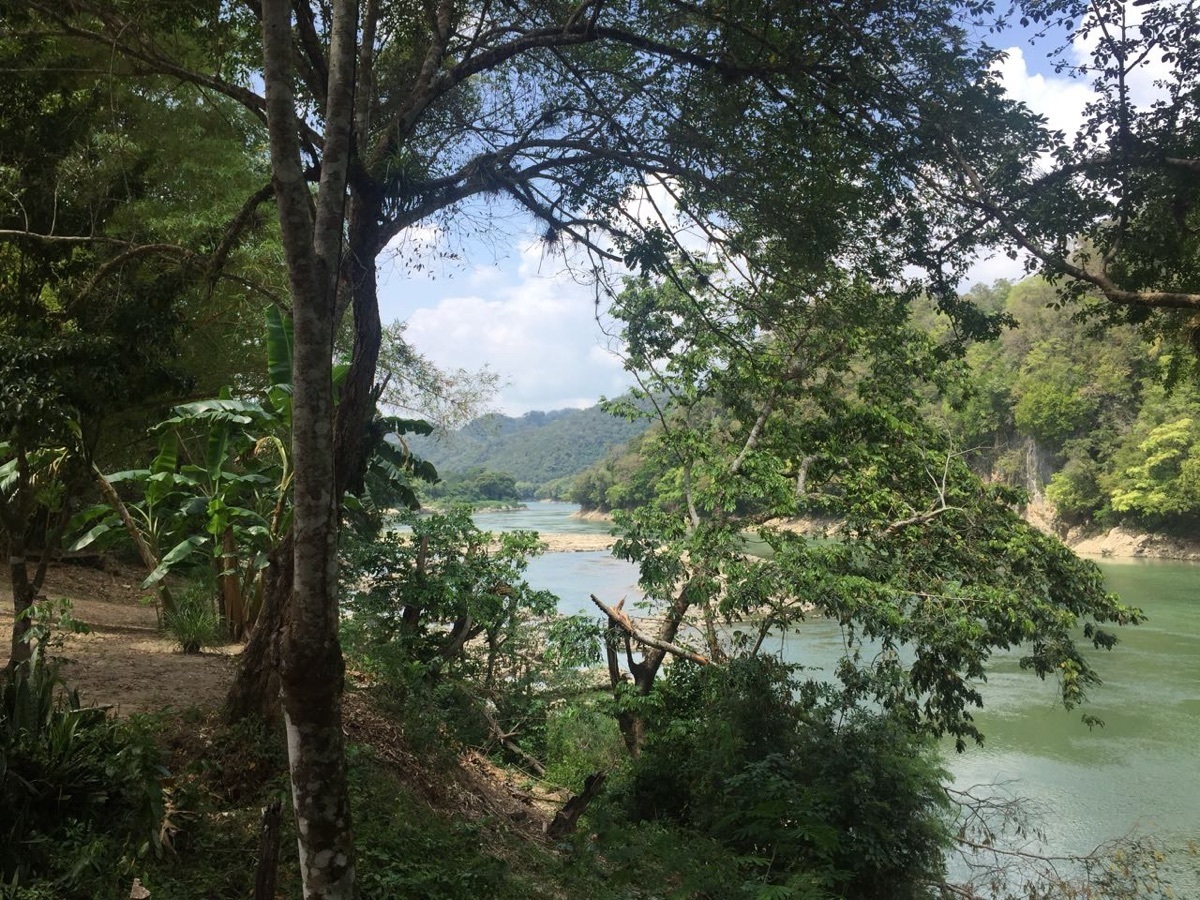 14 de 19: Río Usumacinta