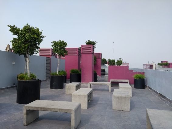 1 de 20: ROOF GARDEN CON ASADORES