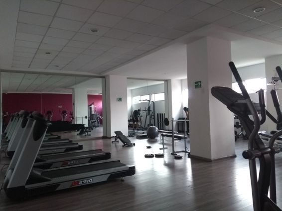 5 de 20: GIMNASIO