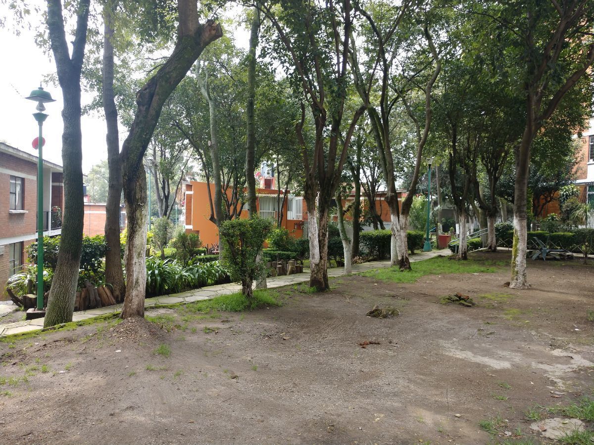 5 de 20
