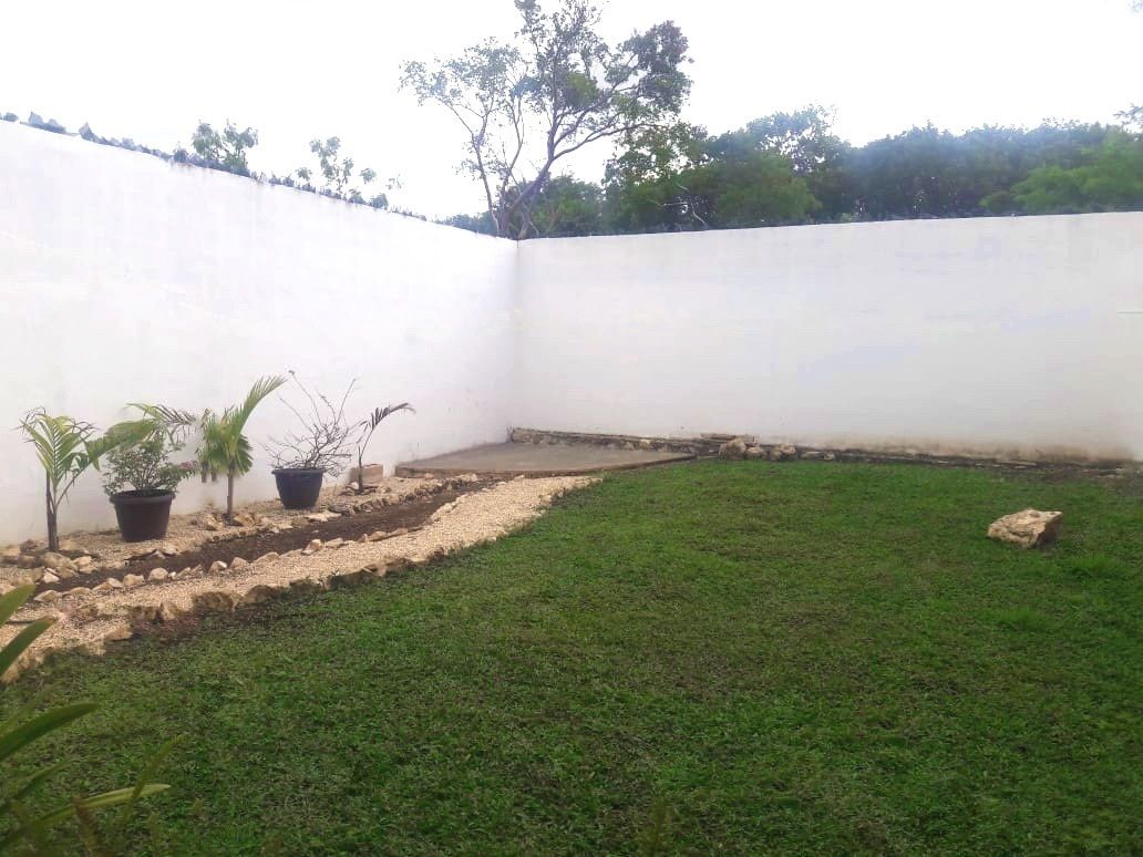 5 de 11: Jardín 