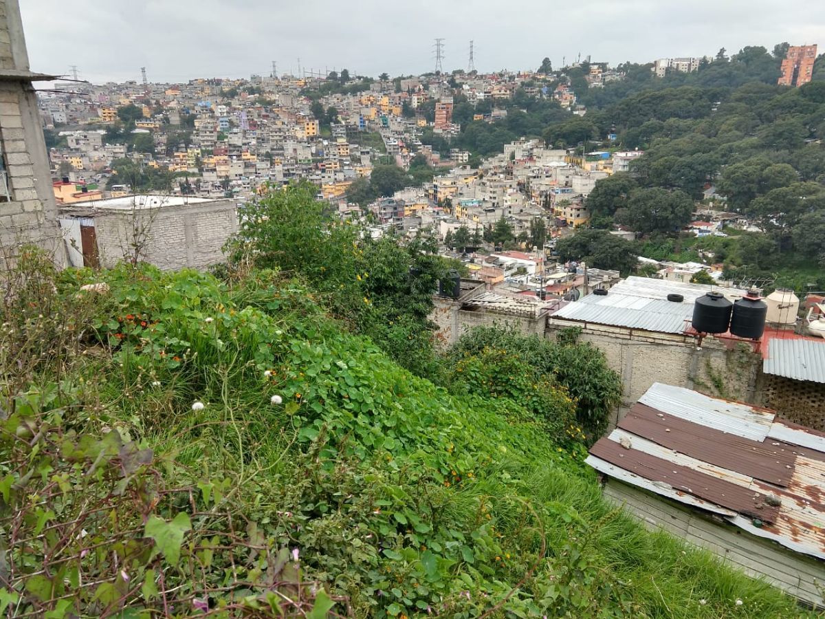 2 de 4