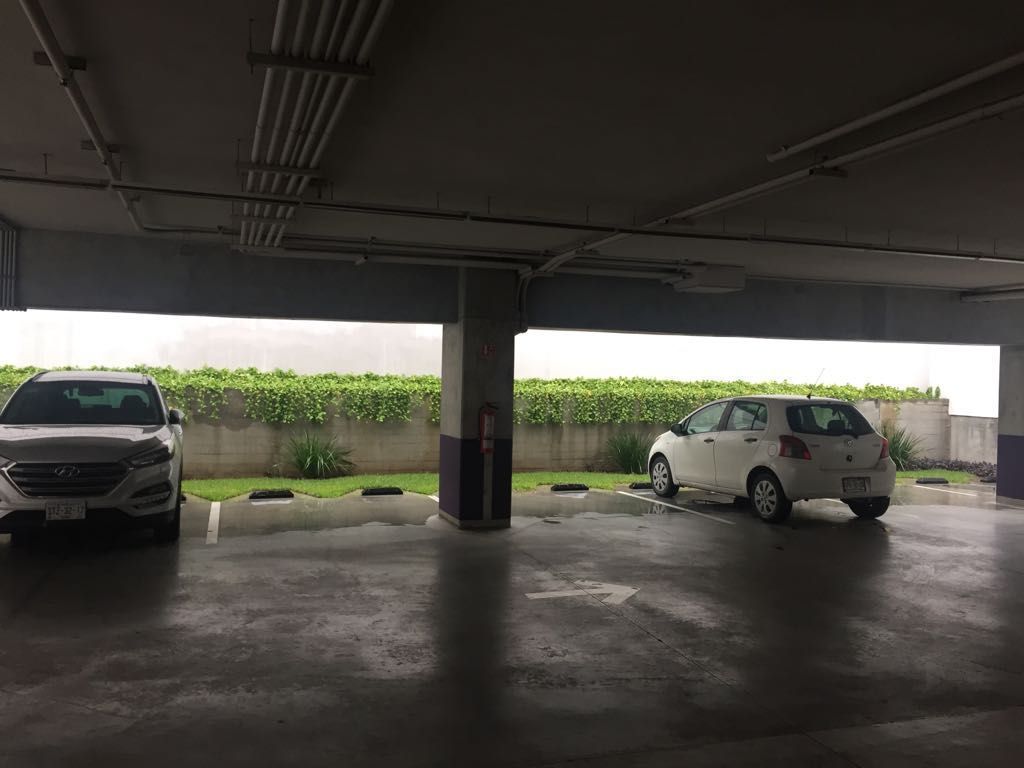 12 de 13