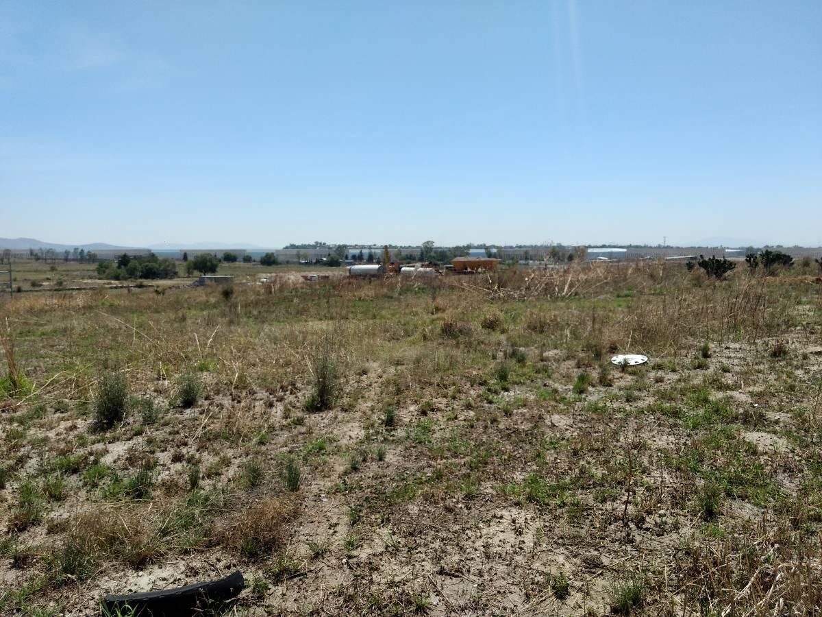 5 de 20