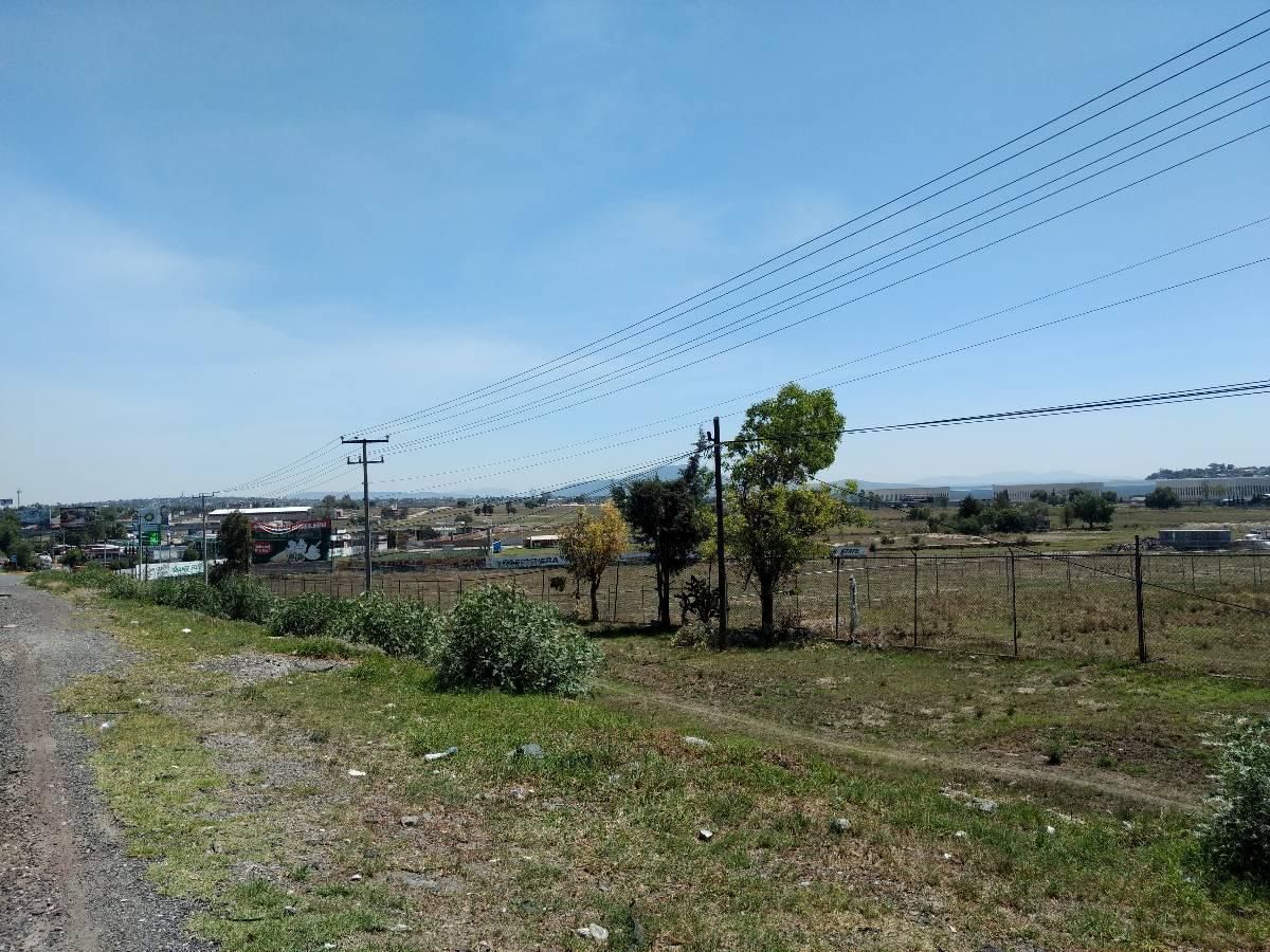 12 de 20