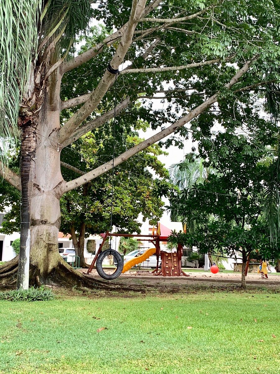 Casa en condominio en Santa Gertrudis Copo, Mérida, foto 26 de 31