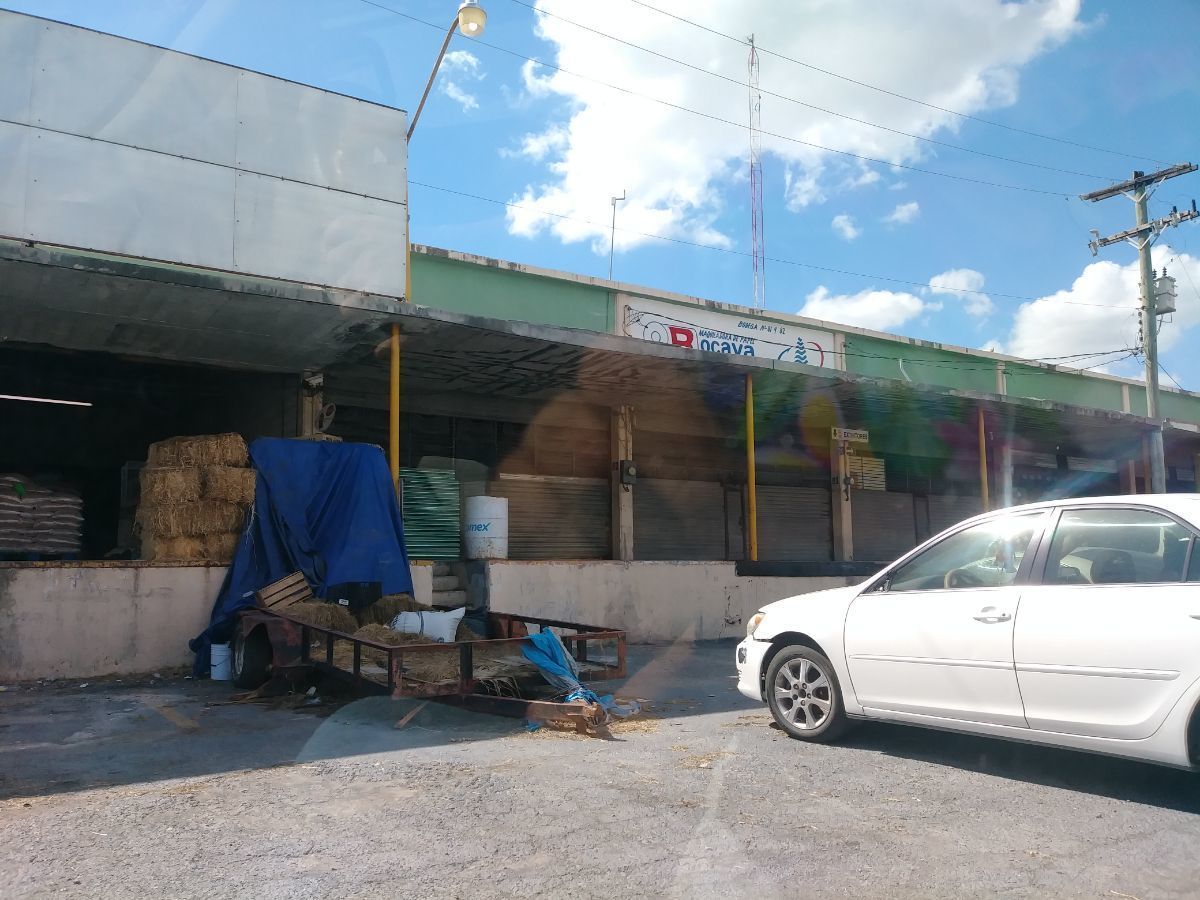 5 de 5