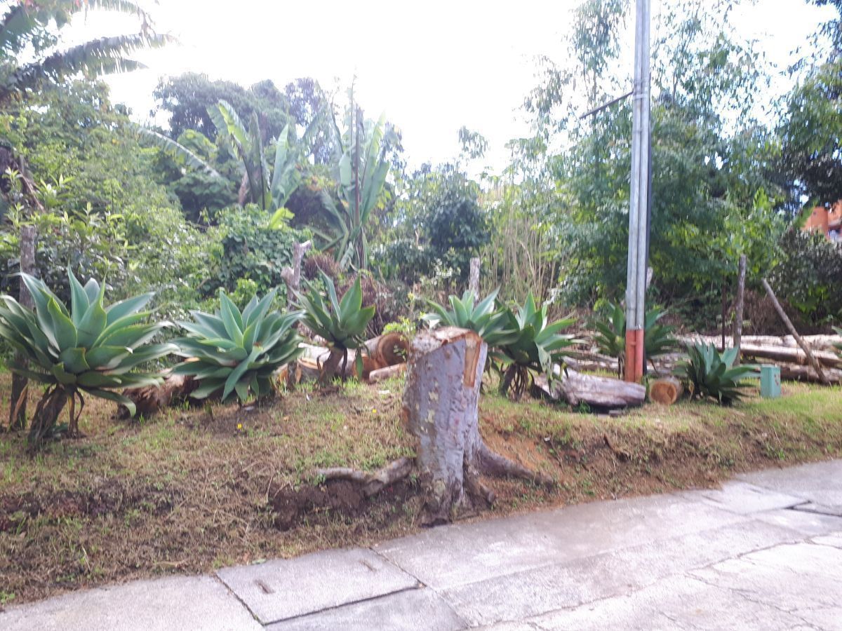 2 de 3