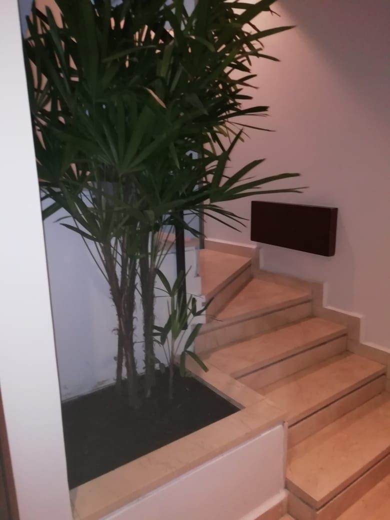 Departamento en Polanco I Sección, Miguel Hidalgo, foto 17 de 18