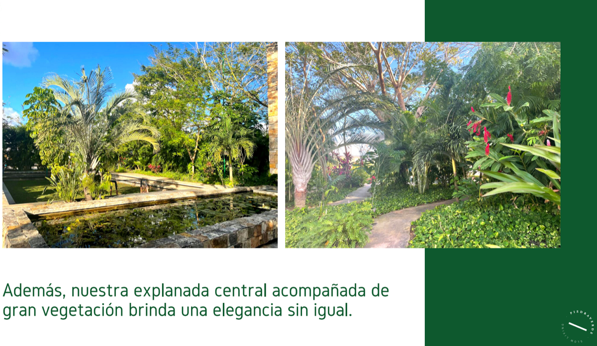 5 de 9: AMENIDADES