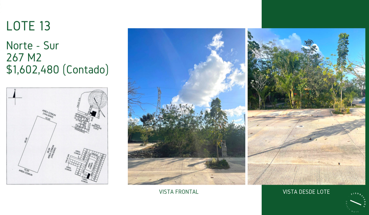 3 de 9: LOTE 13