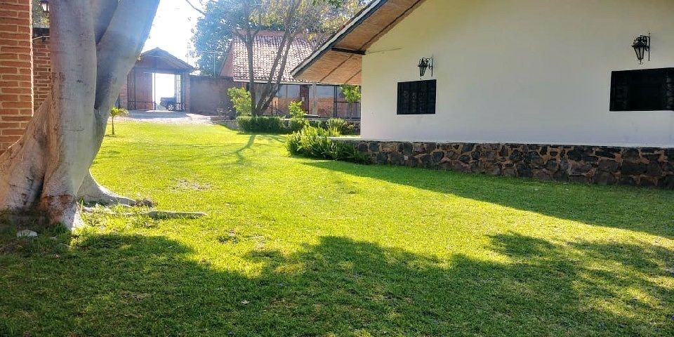 12 de 17