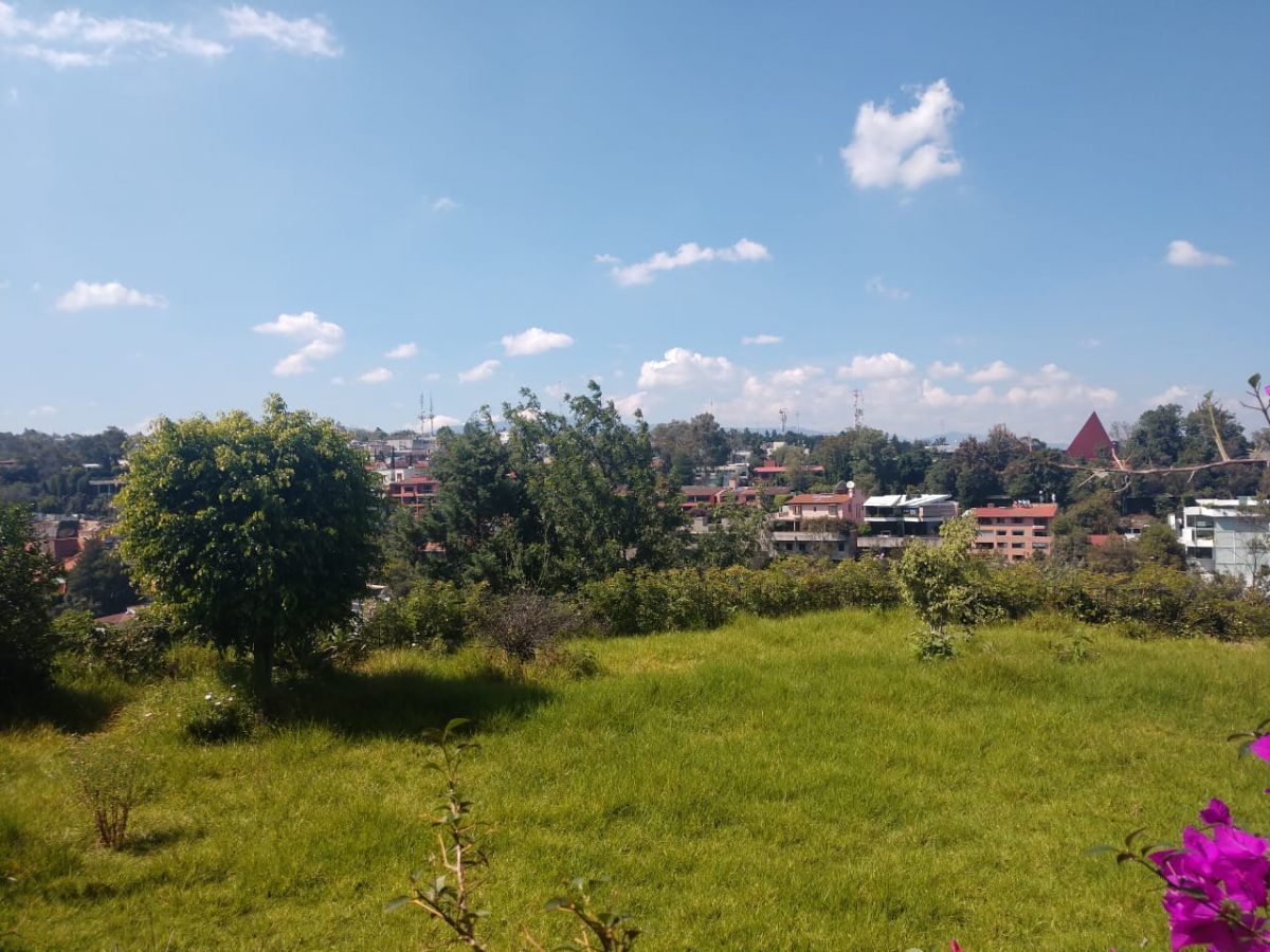 46 de 49