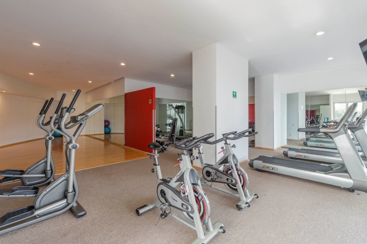 13 de 13: Gimnasio