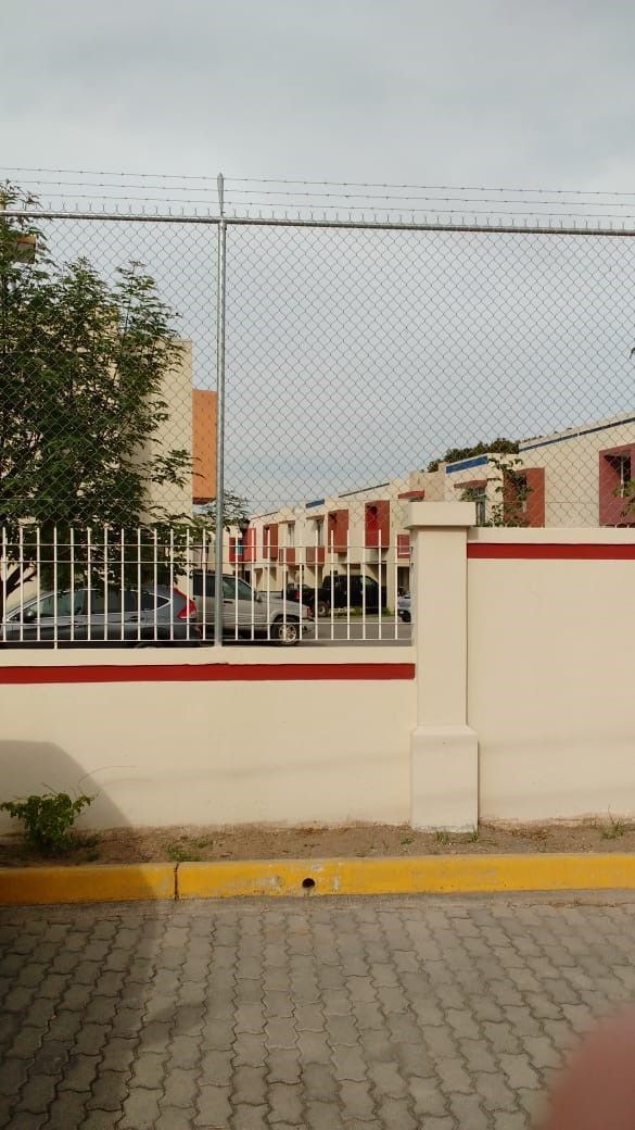 13 de 13
