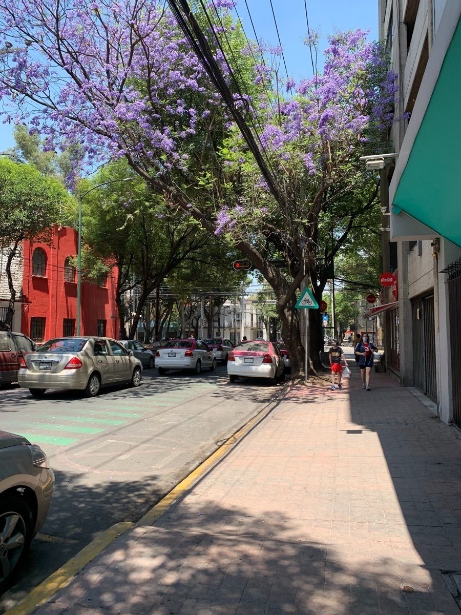 14 de 27
