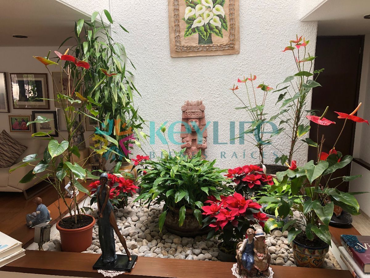 8 de 20