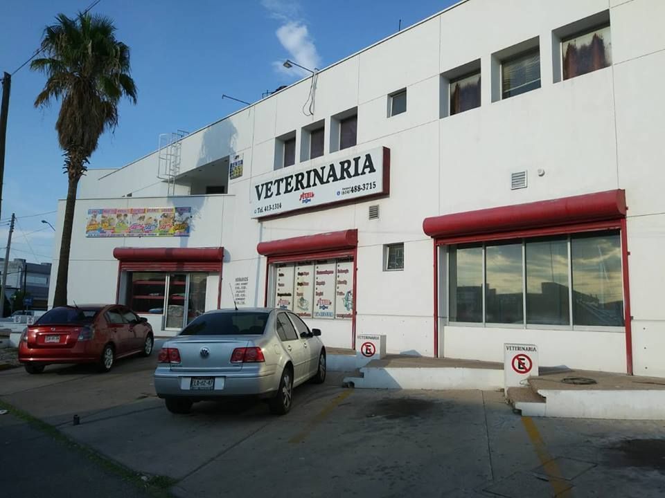 3 de 3: TODOS LOS LOCALES EN MISMO EDIFICIO COMERCIAL