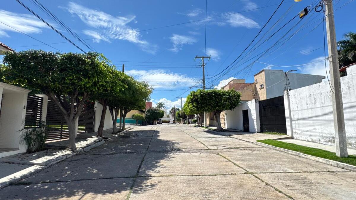 25 de 25