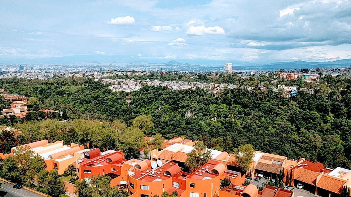 11 de 31