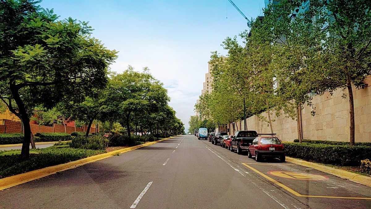 31 de 31