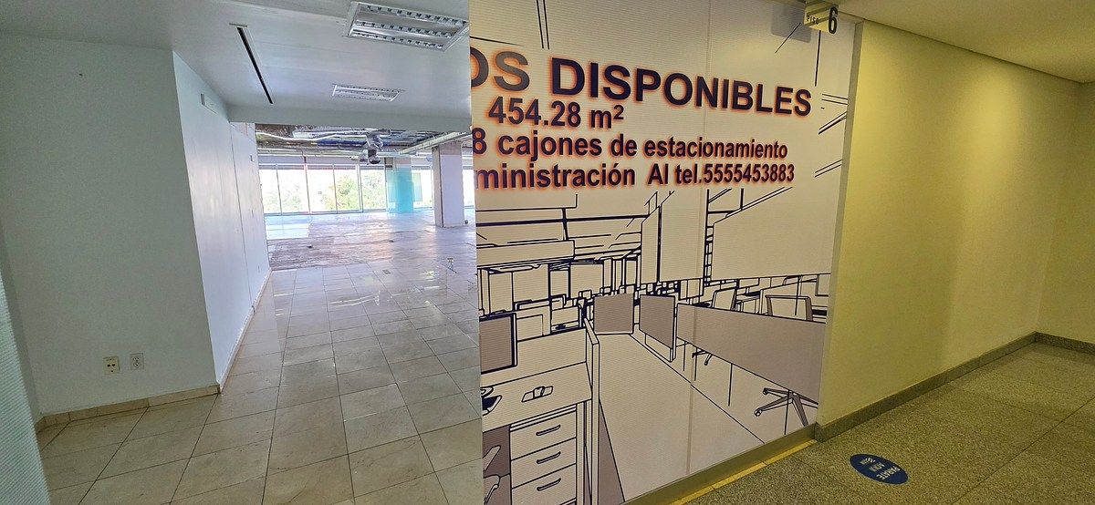 8 de 17