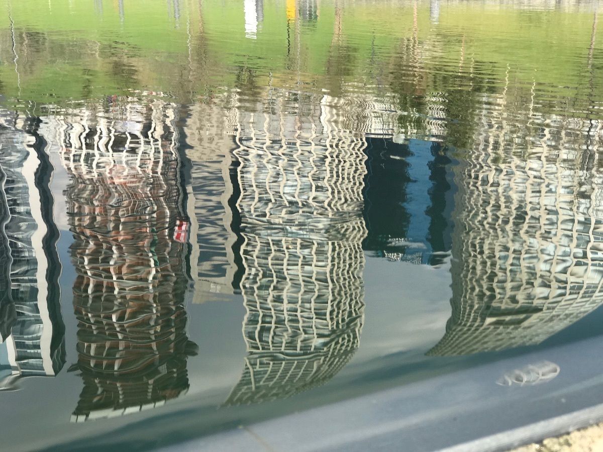 10 de 12: Vista del parque la mexicana