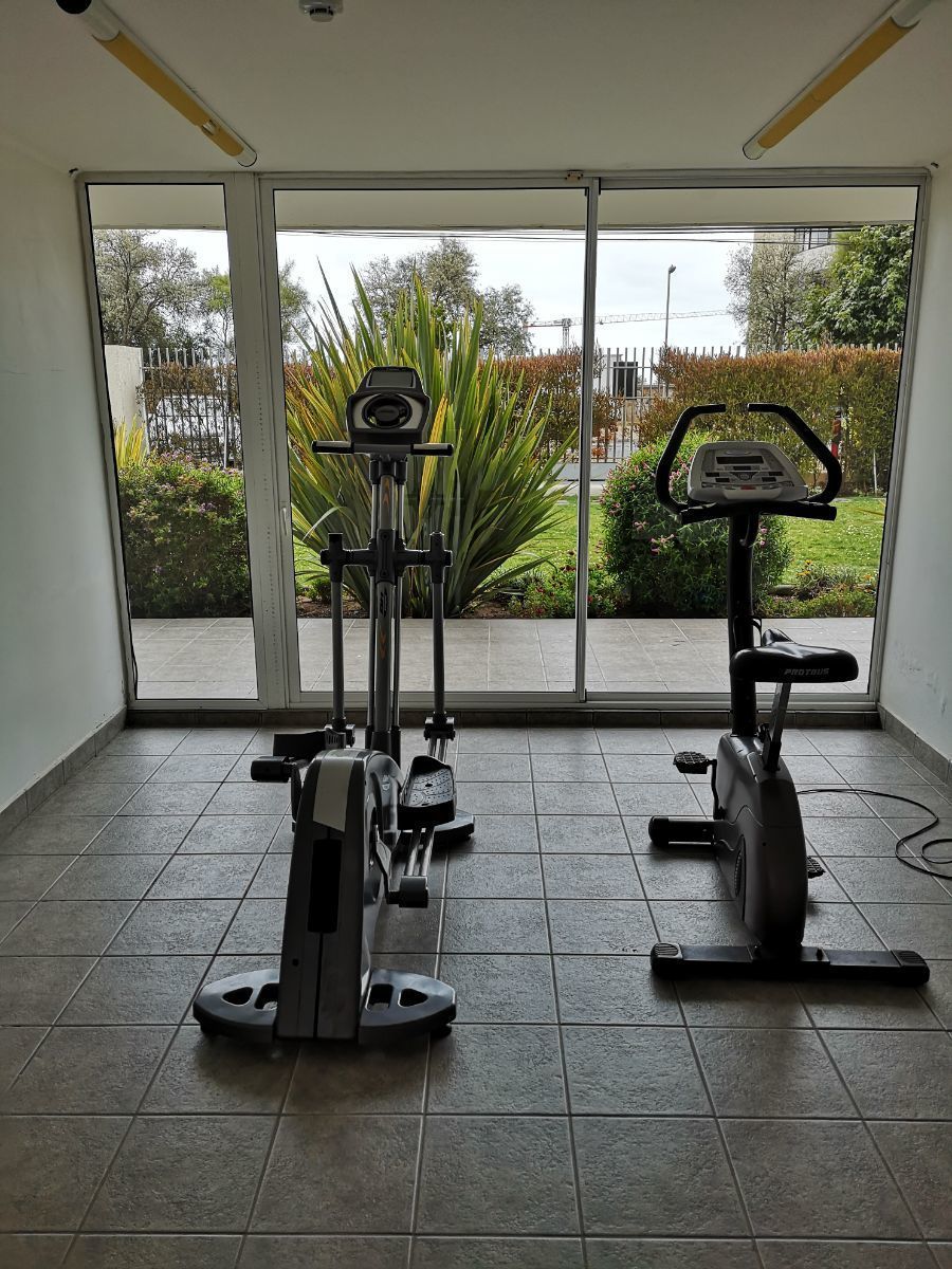 4 de 14: Gimnasio