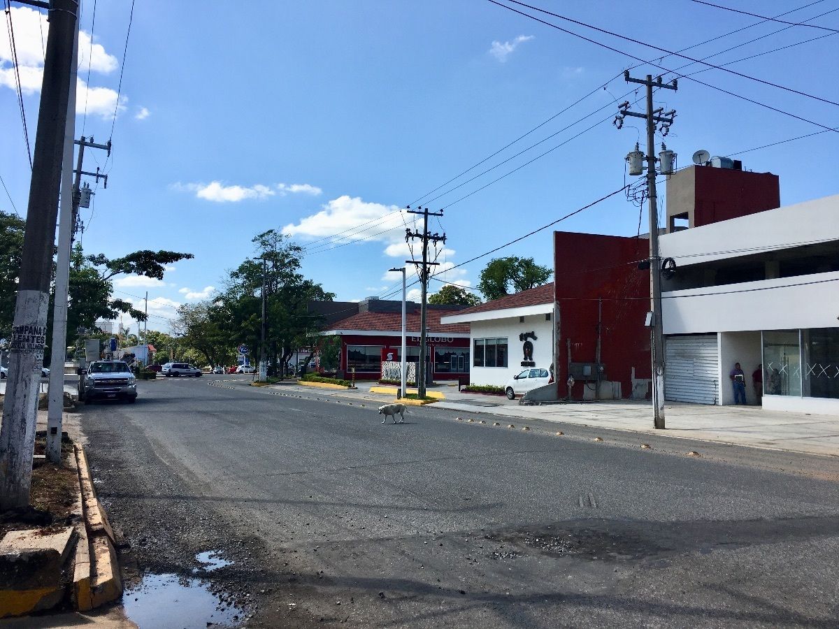 3 de 13
