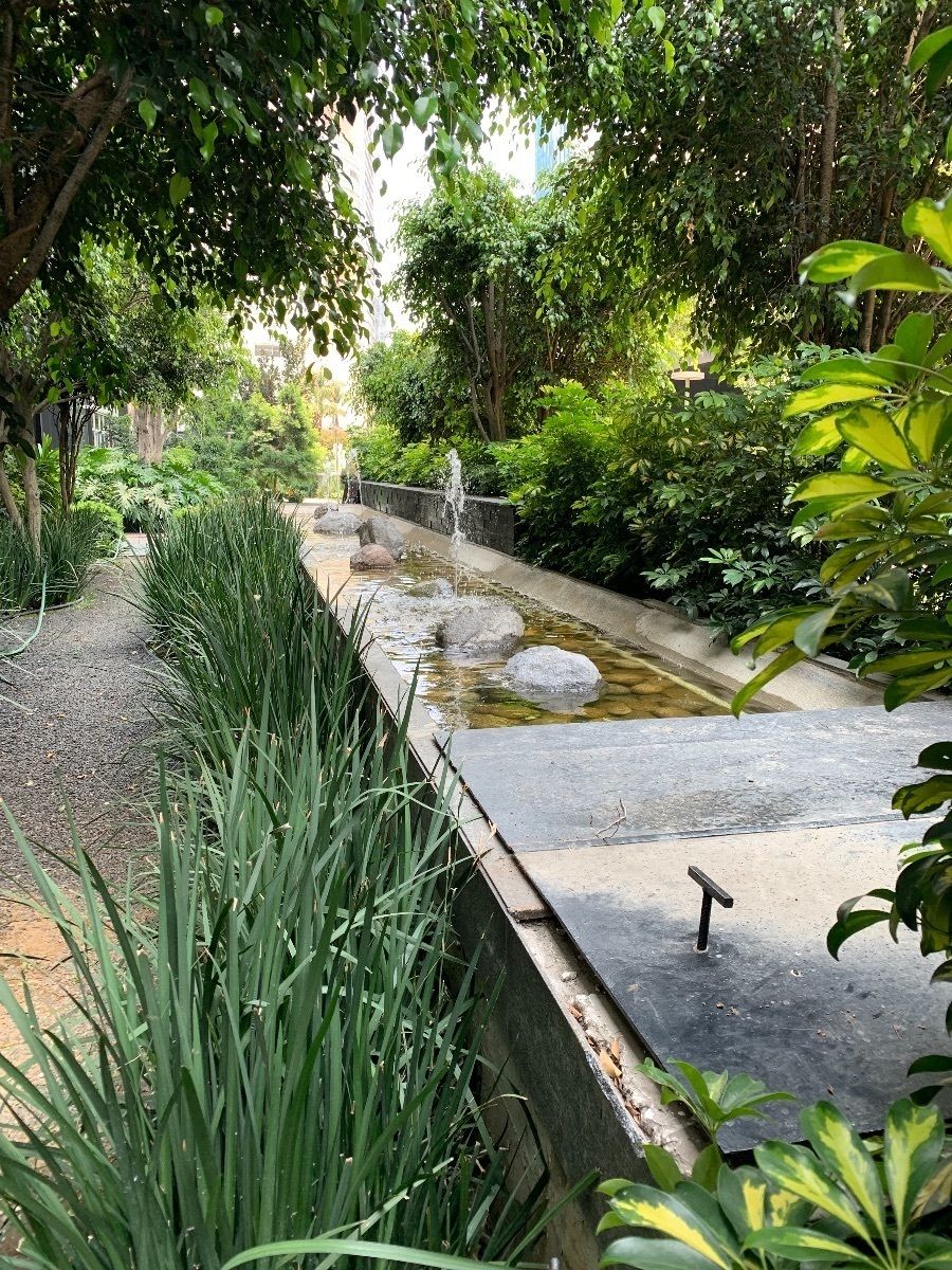 12 de 18: Jardín en condominio
