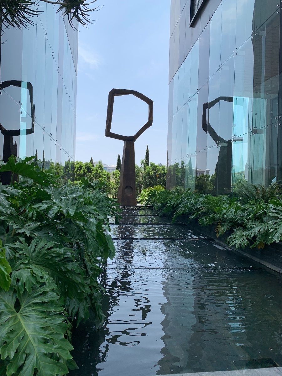 11 de 18: Jardín en condominio