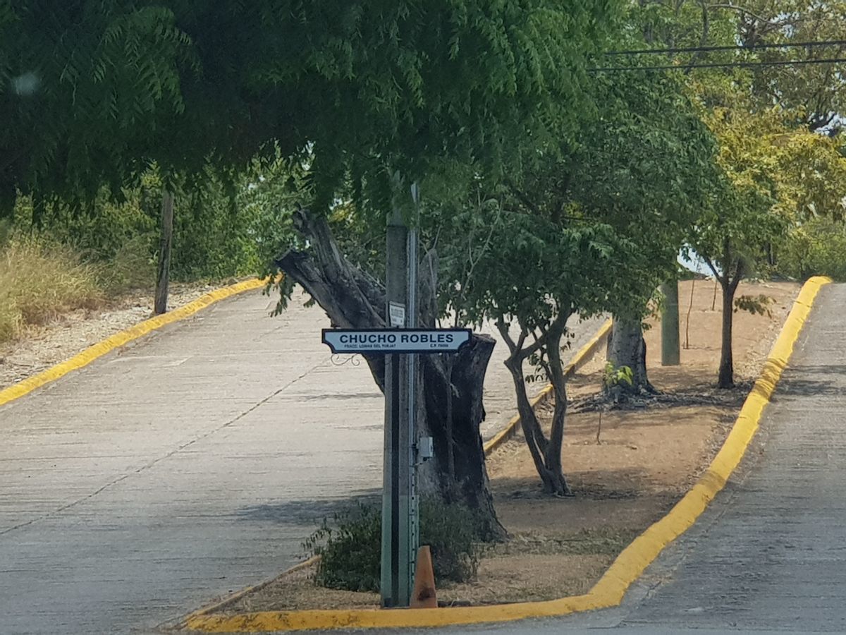 3 de 20