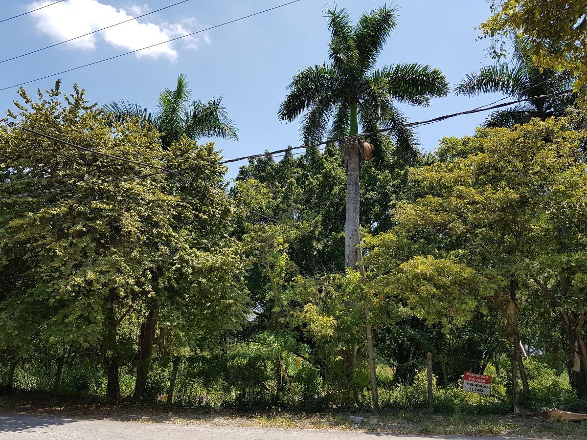 4 de 20