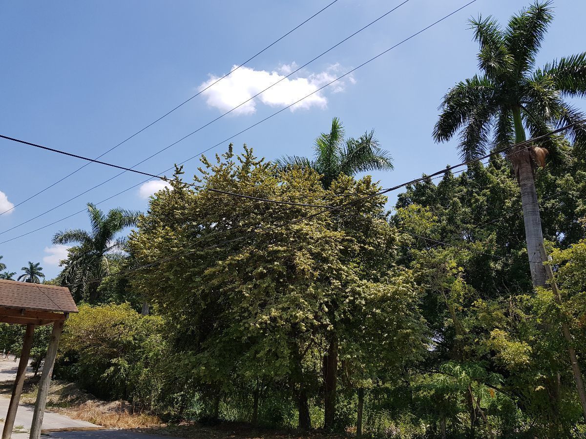 5 de 20