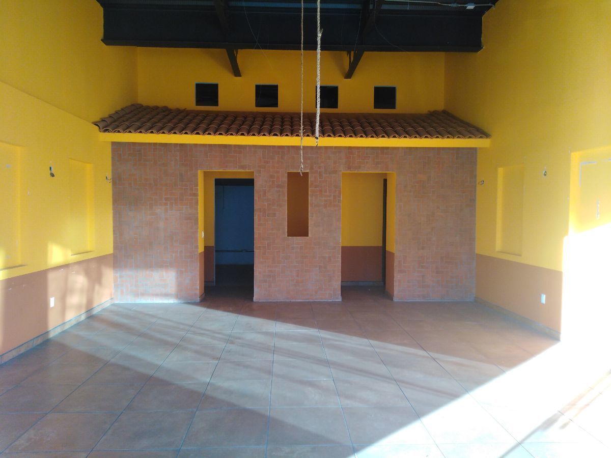 4 de 17