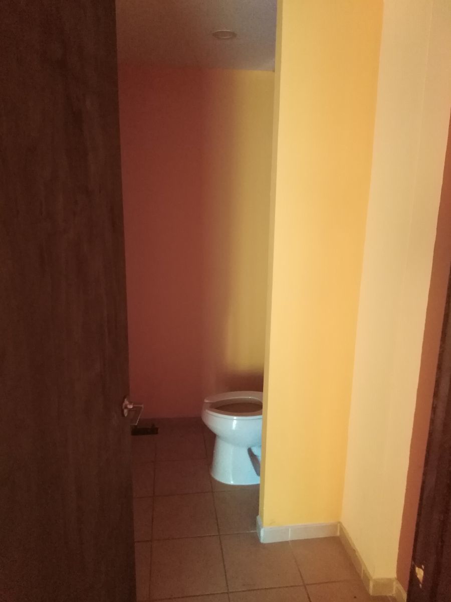5 de 17