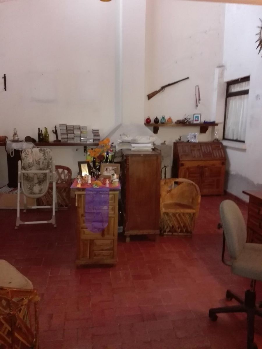 11 de 12