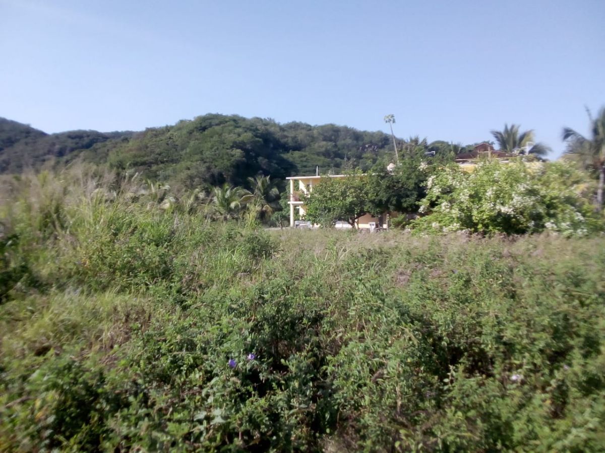 TERRENO EN VENTA FRACCIONAMIENTO AQUARIUM EN MANZANILLO, COLIMA. - foto 5