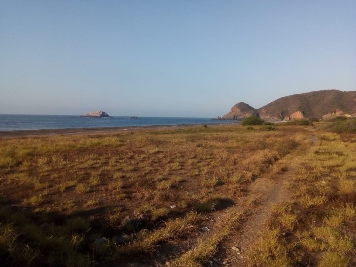 TERRENO EN VENTA FRACCIONAMIENTO AQUARIUM EN MANZANILLO, COLIMA. - foto 3