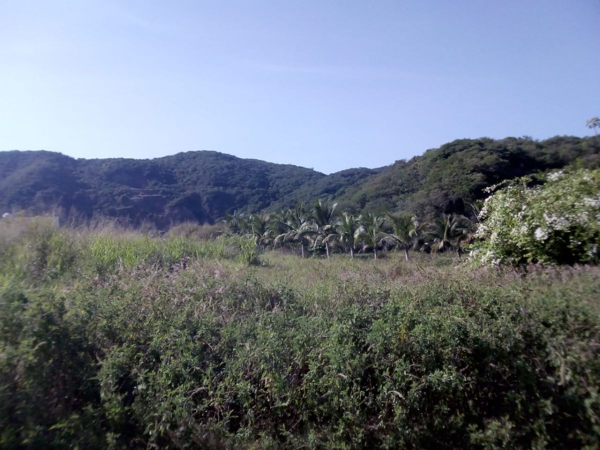 TERRENO EN VENTA FRACCIONAMIENTO AQUARIUM EN MANZANILLO, COLIMA. - foto 5