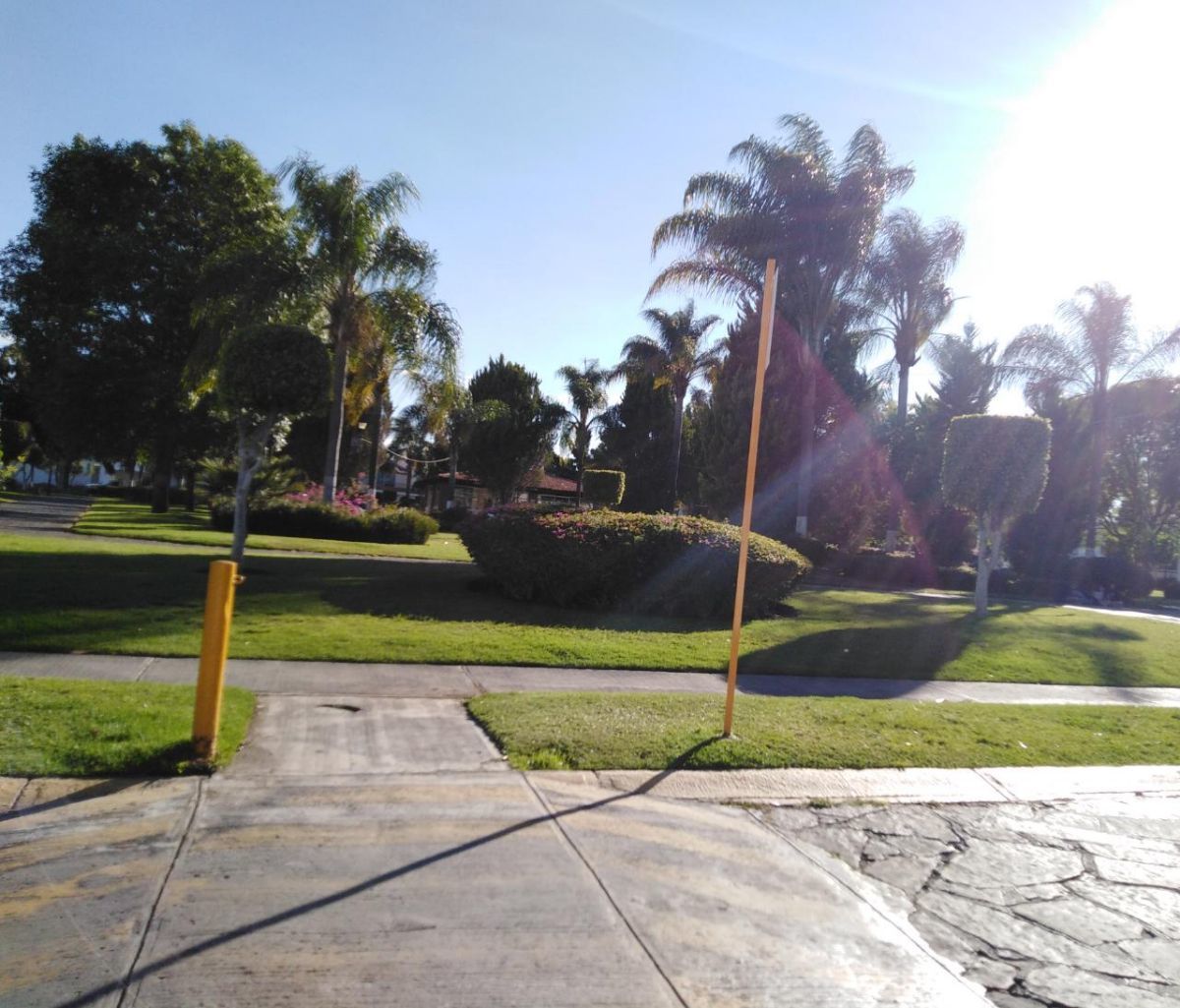 2 de 24