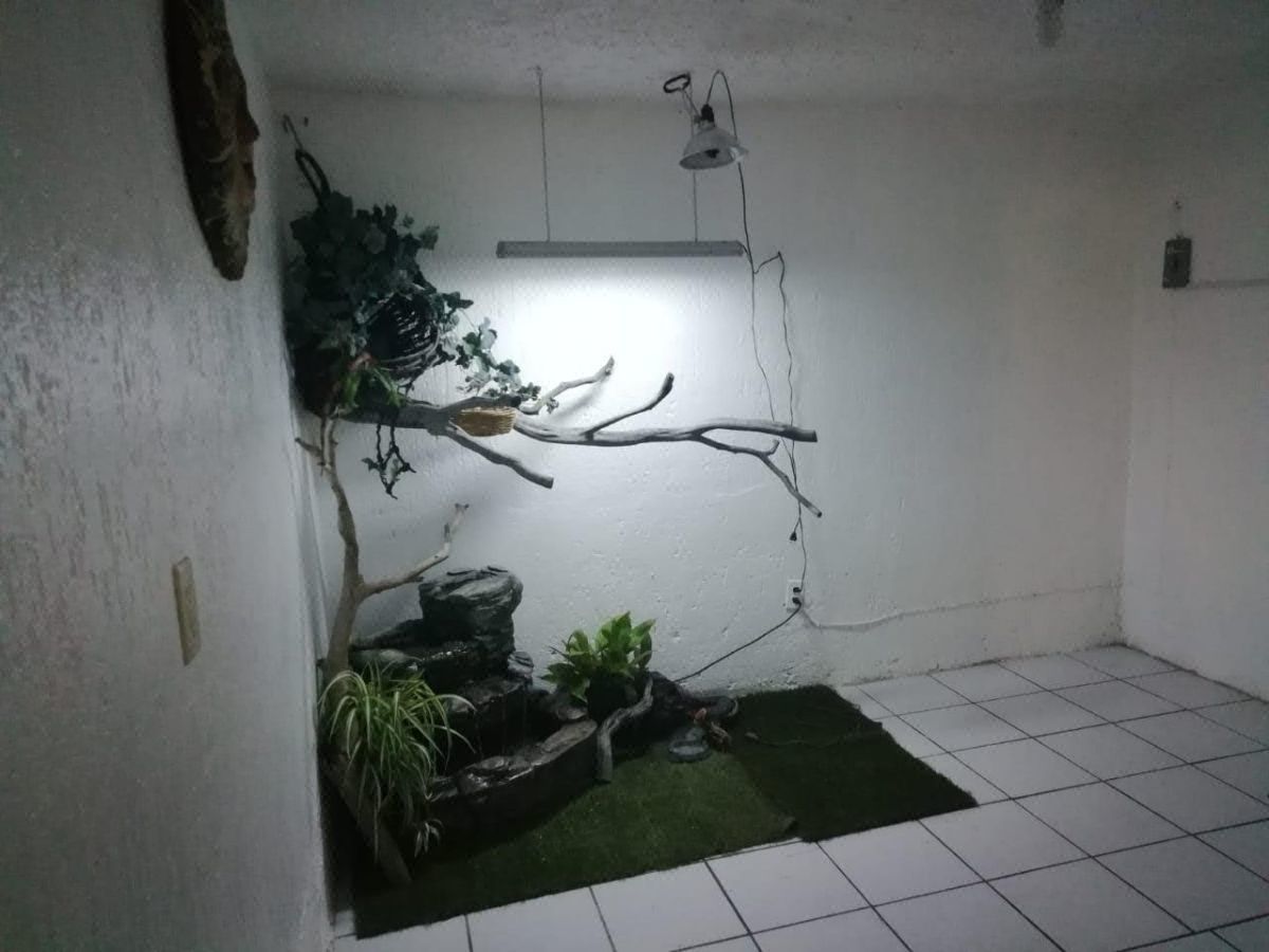 Departamento planta baja